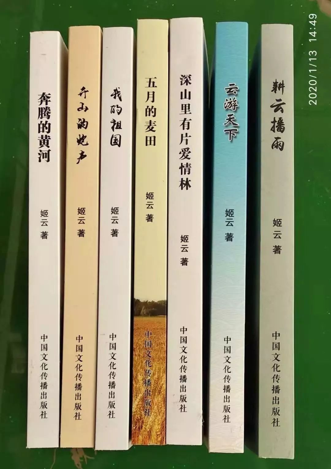 笔墨淋漓天地间——赏读姬云先生诗文集《耕云播雨》