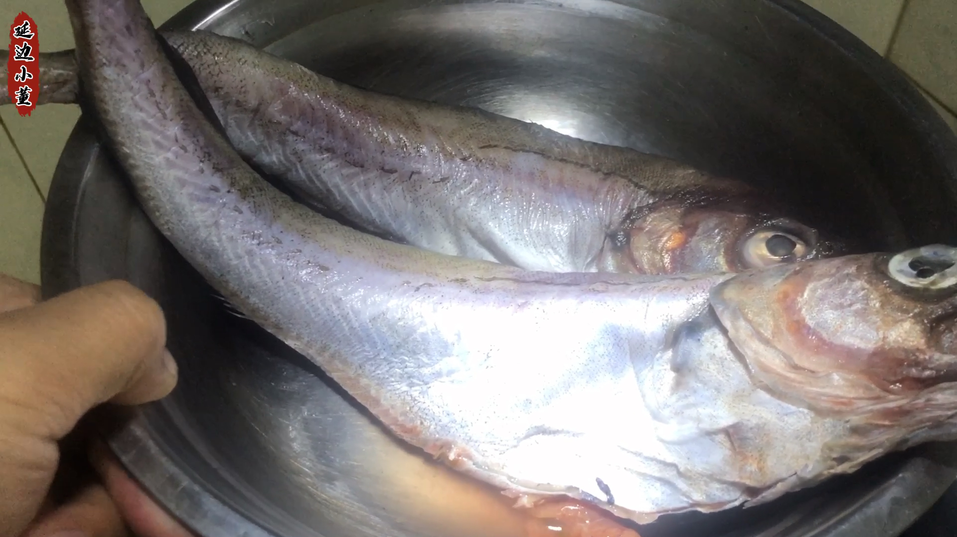 一个人在外也要好好吃饭,今天做个明太鱼炖豆腐