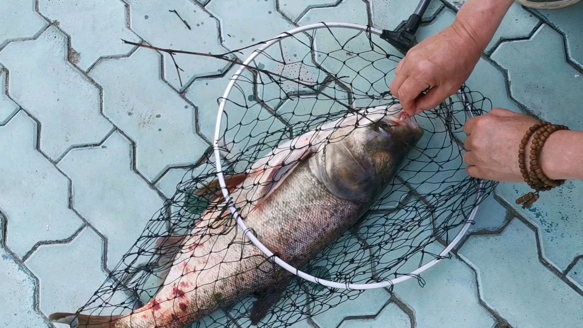 钓条10斤的胖头鱼,晚上做铁锅炖鱼头,这是你想要的田园生活吗?