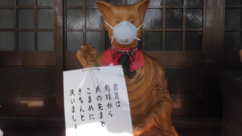 探寻日本猫文化:日本人对喵主子的喜爱值冲破宇宙!