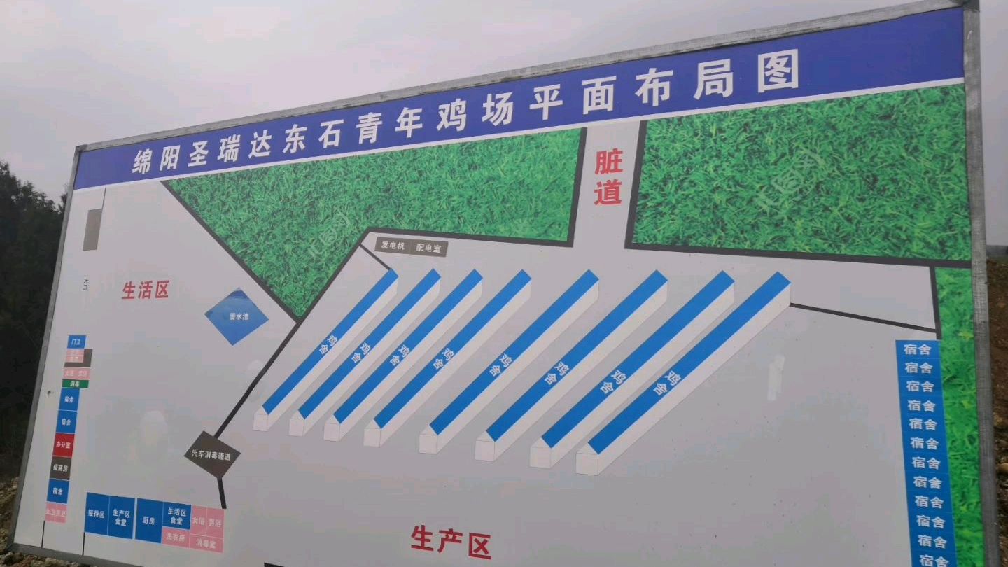 3个大学生在农村投资上千万修建大型养鸡场,打口井花20万