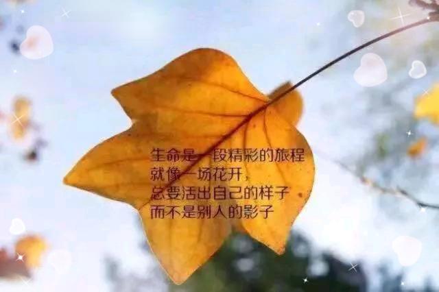 一个人至少拥有一个梦想,有一个理由去坚强