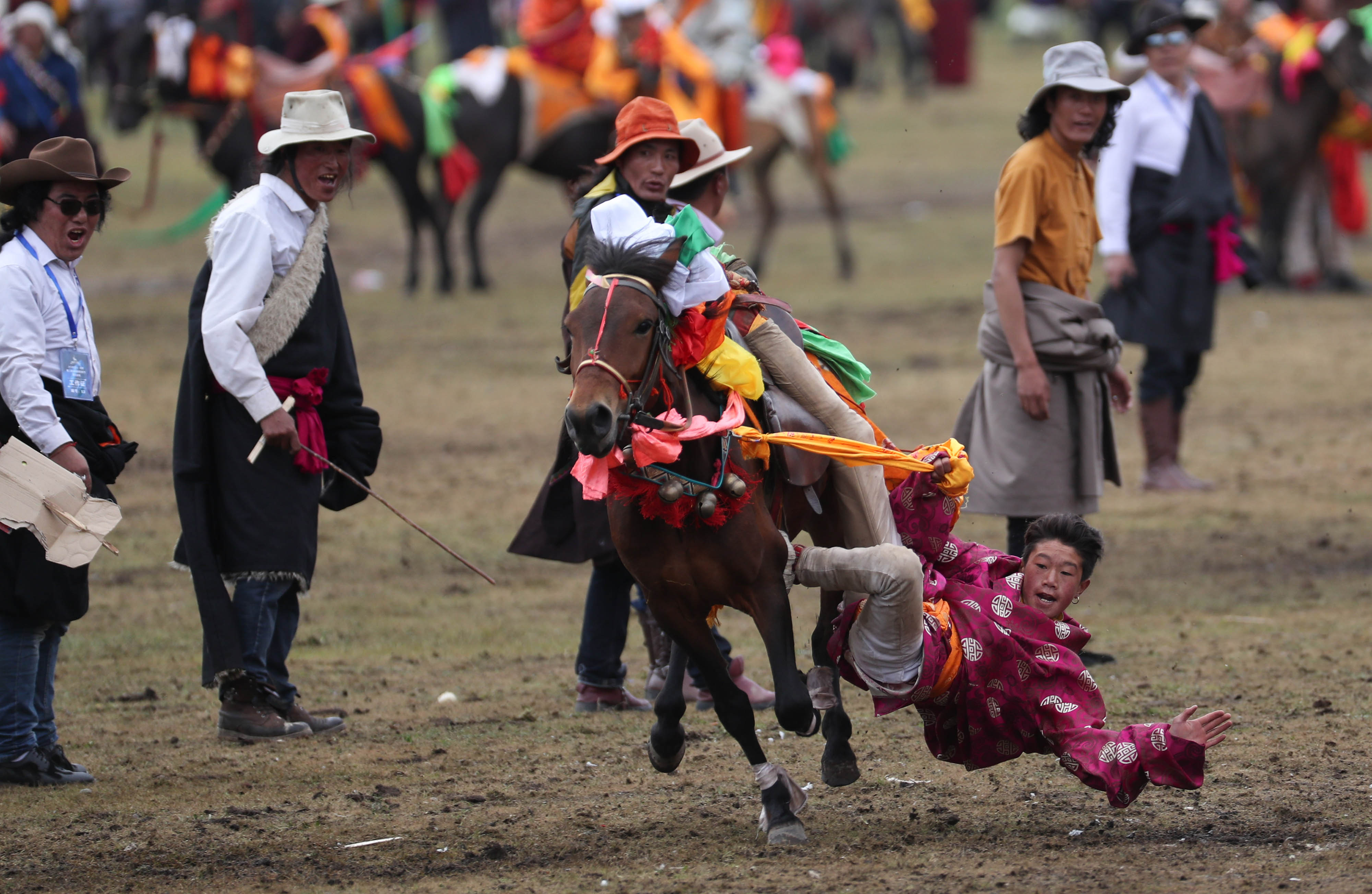 四川理塘传统马术盛宴(3)