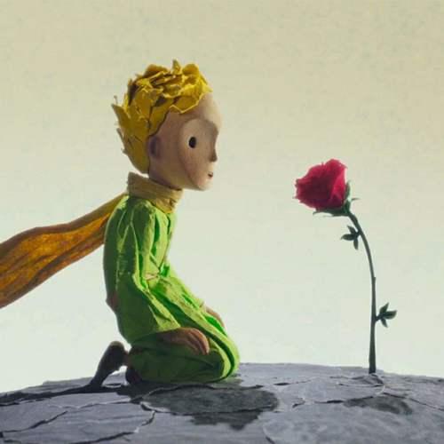 《小王子》傲娇的玫瑰花:学会表达爱对一个人有多重要?