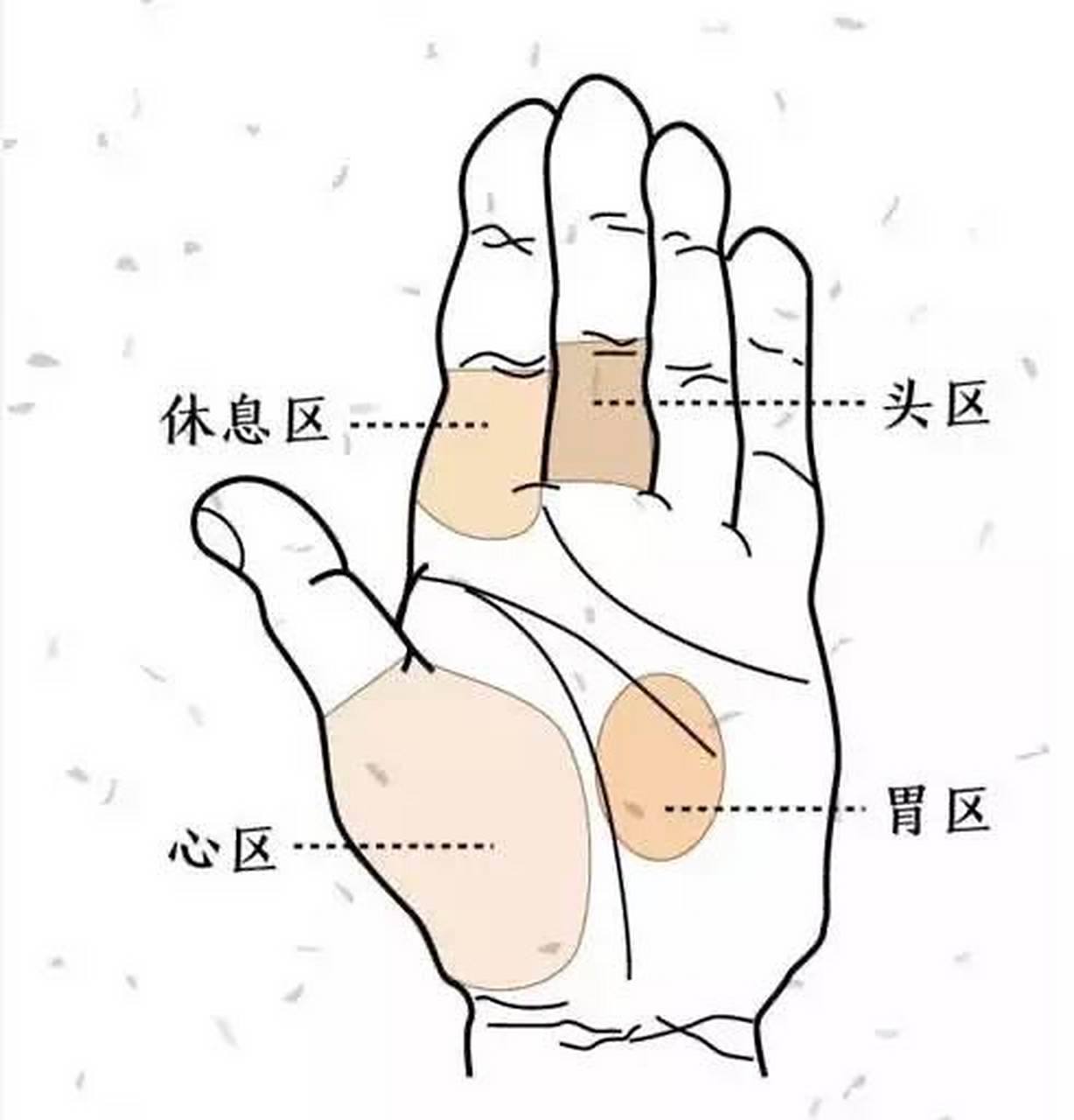 手心不同颜色的斑点,提示了4种胃部问题: 胃在手上的反射区,是在掌心