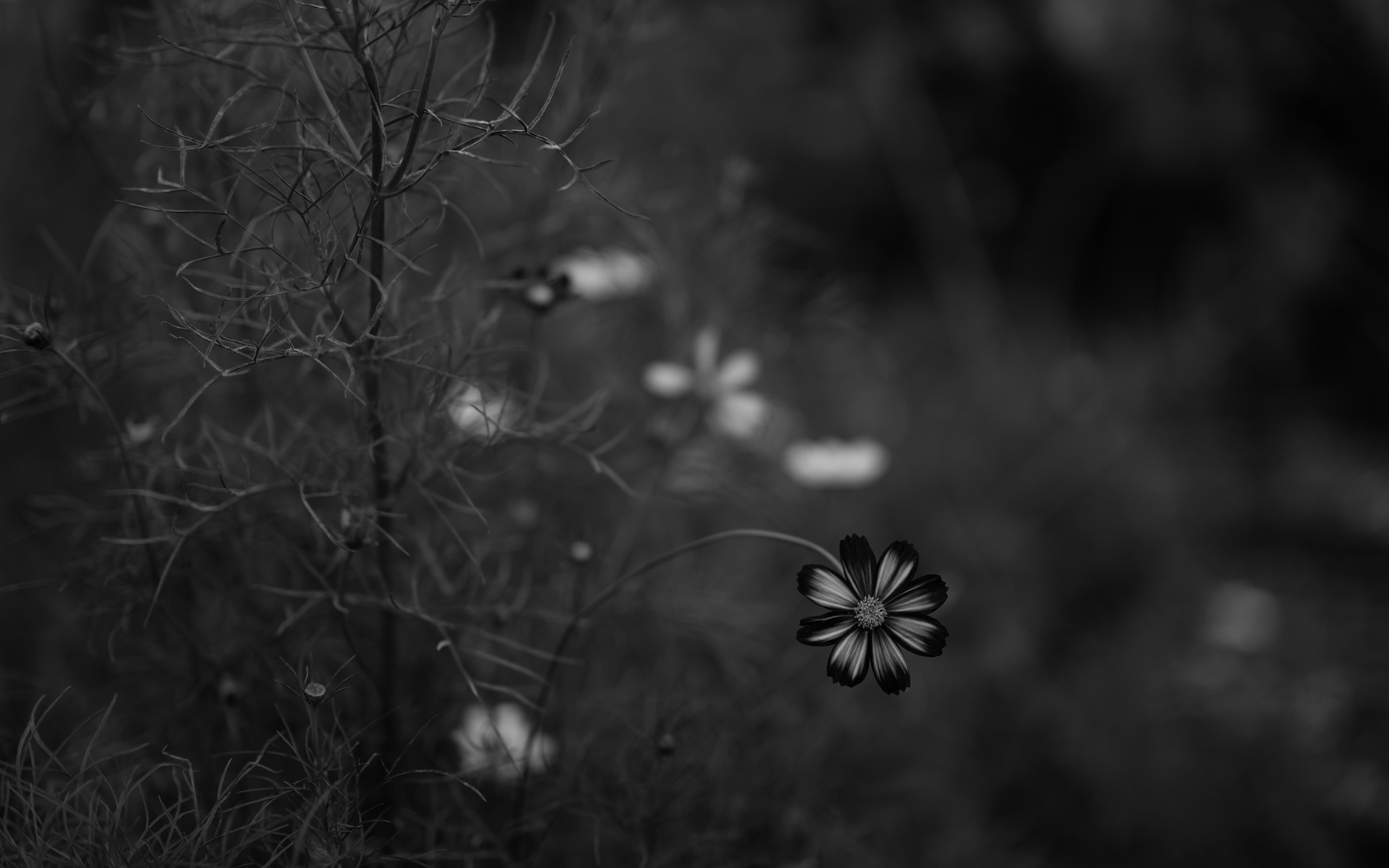 充满阳光正能量的句子,句句精辟!