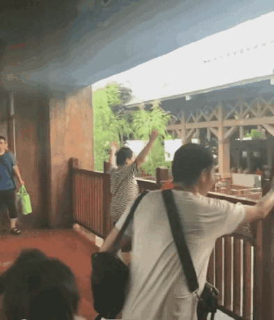 搞笑gif:小胖子,你为何站着不动,看来都是肉肉惹的祸!