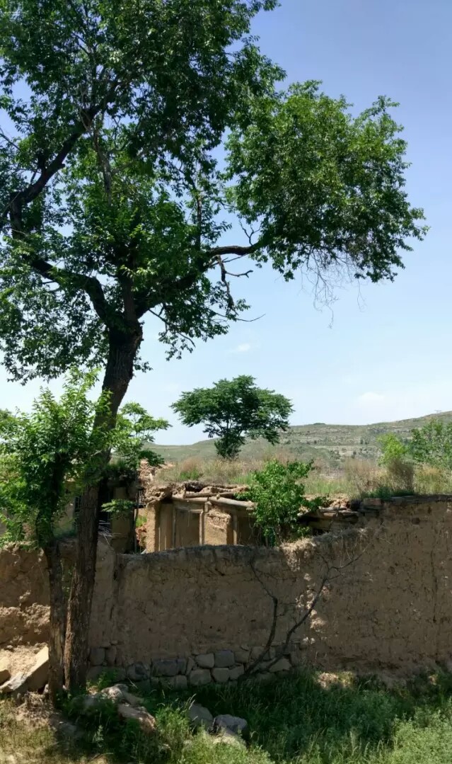 祁县峪口乡岭北庄