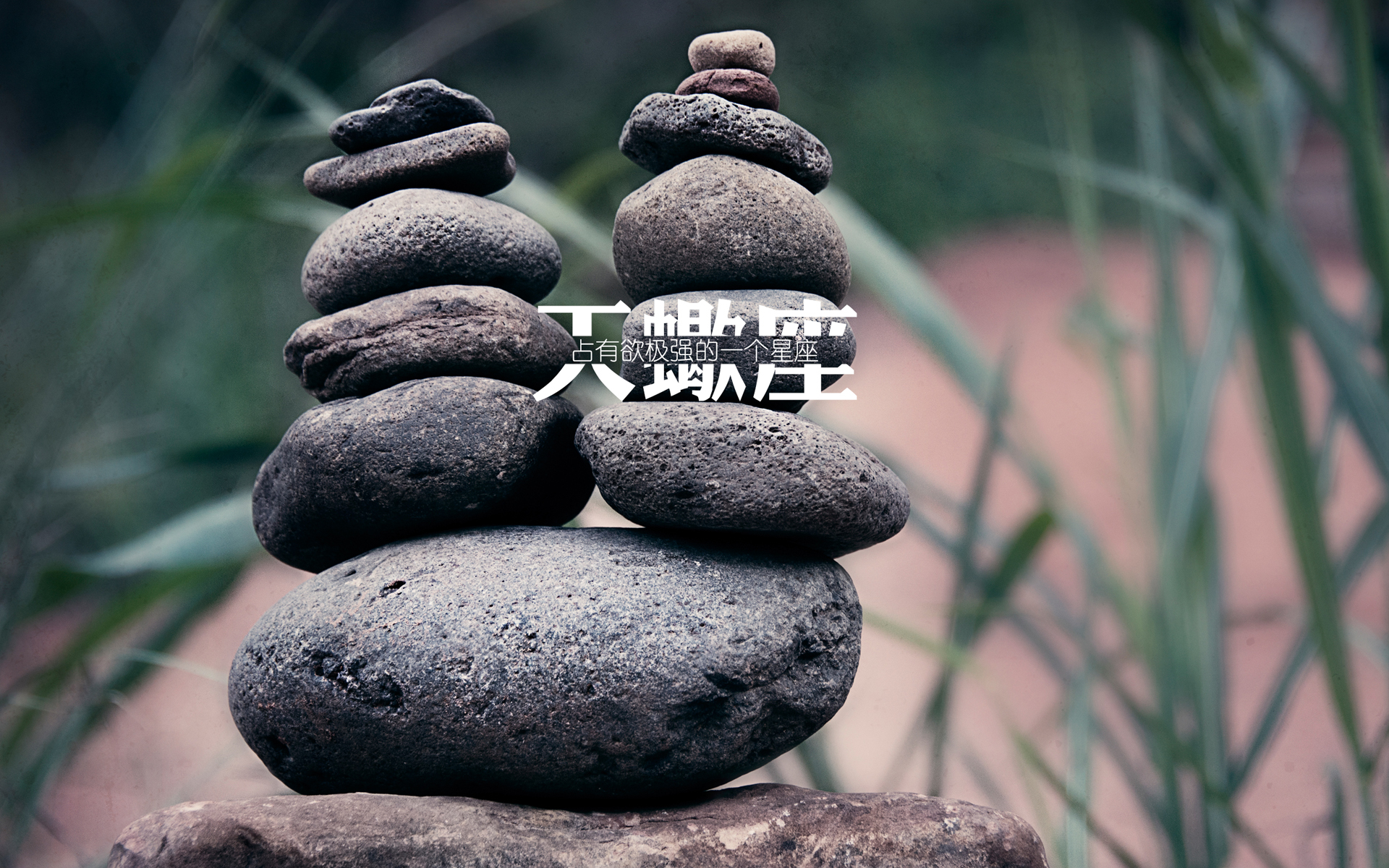 天蝎座为什么会有前任恐惧症?