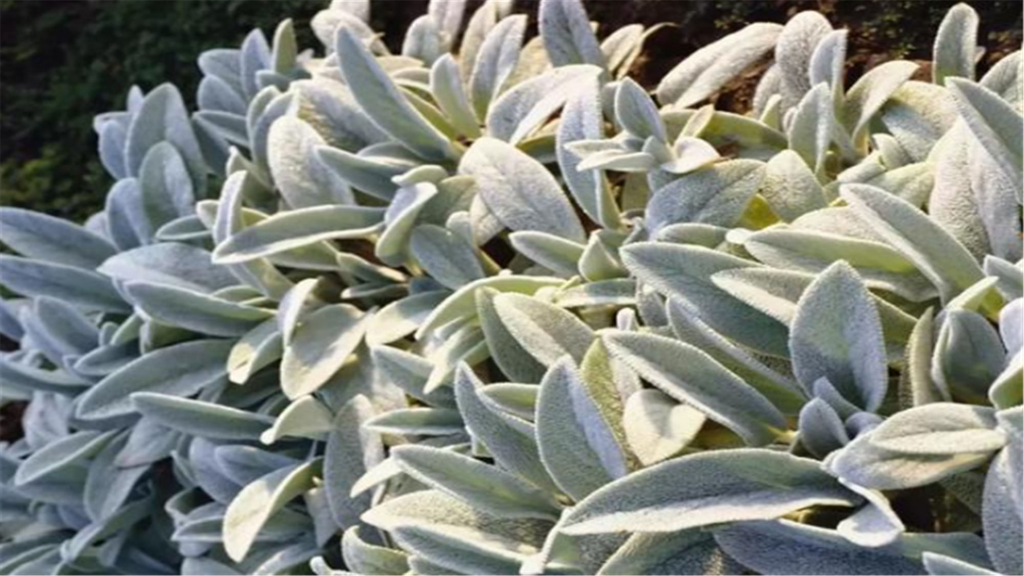 真石板 - 2020年最新商品信息聚合专区 - 百度爱采购