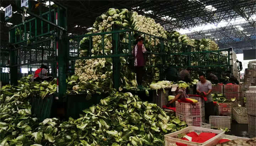 "蔬菜之乡"寿光遭台风侵袭后菜价平稳,业界预期对后市影响不大