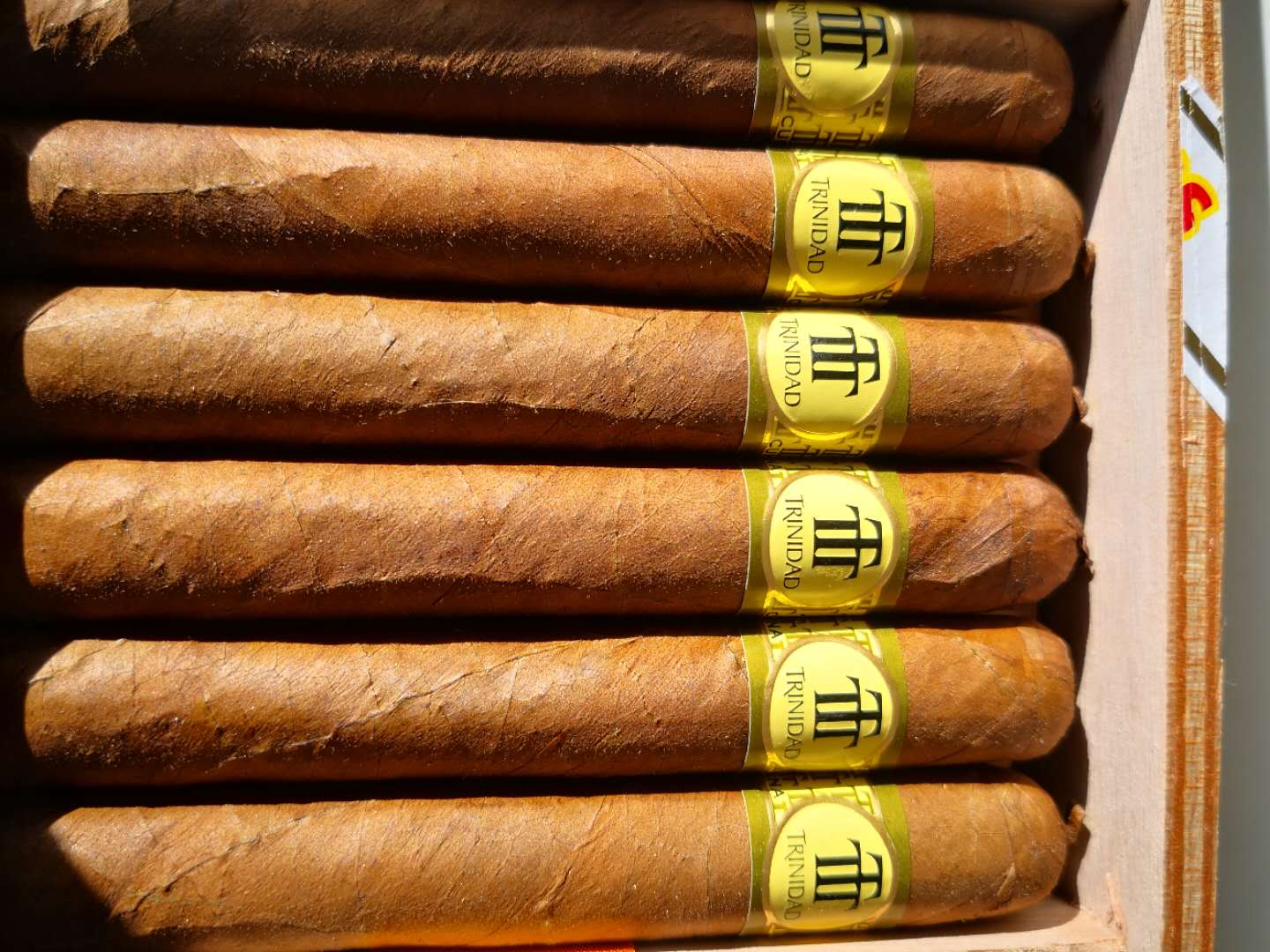 特立尼达 雷耶斯 trinidad reyes 古巴雪茄
