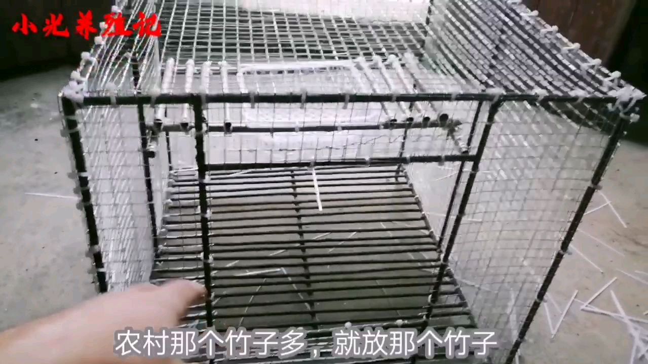 小光养殖记:自己动手给鸽子制作笼子
