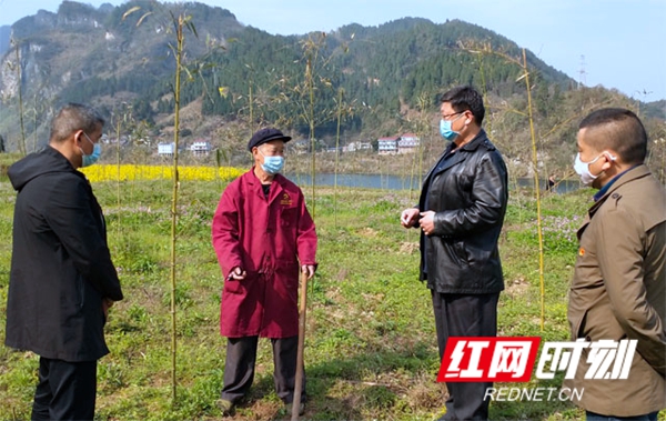 扶贫花开满园春—怀化市沅陵县明溪口镇黄秧坪社区见闻