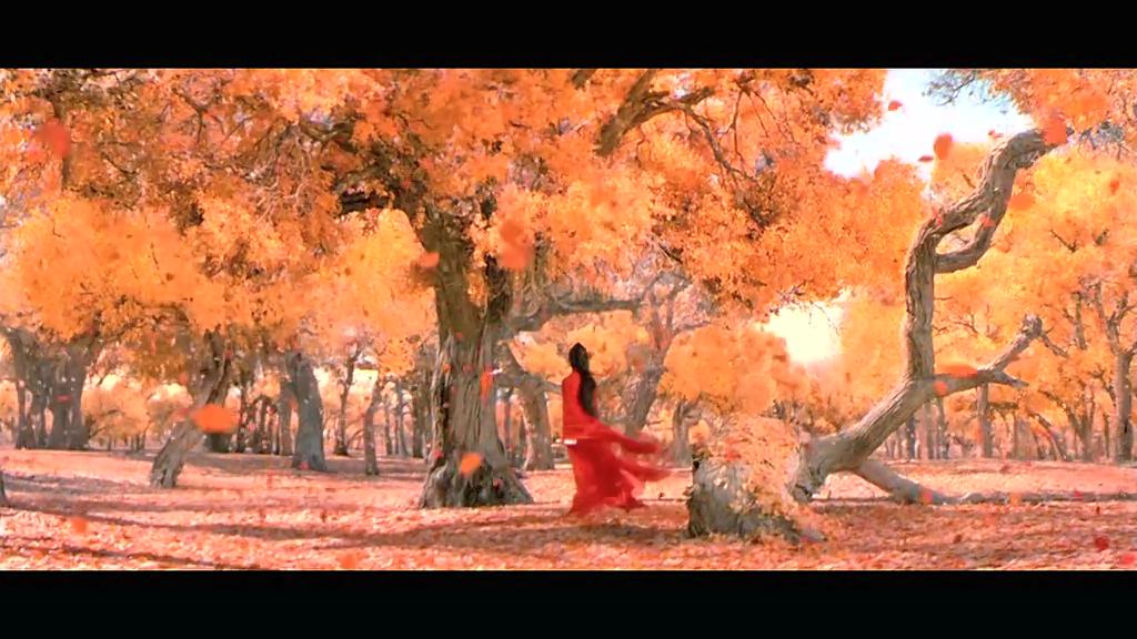 话谈影像 二十二期《英雄》张艺谋艺术武侠的开始