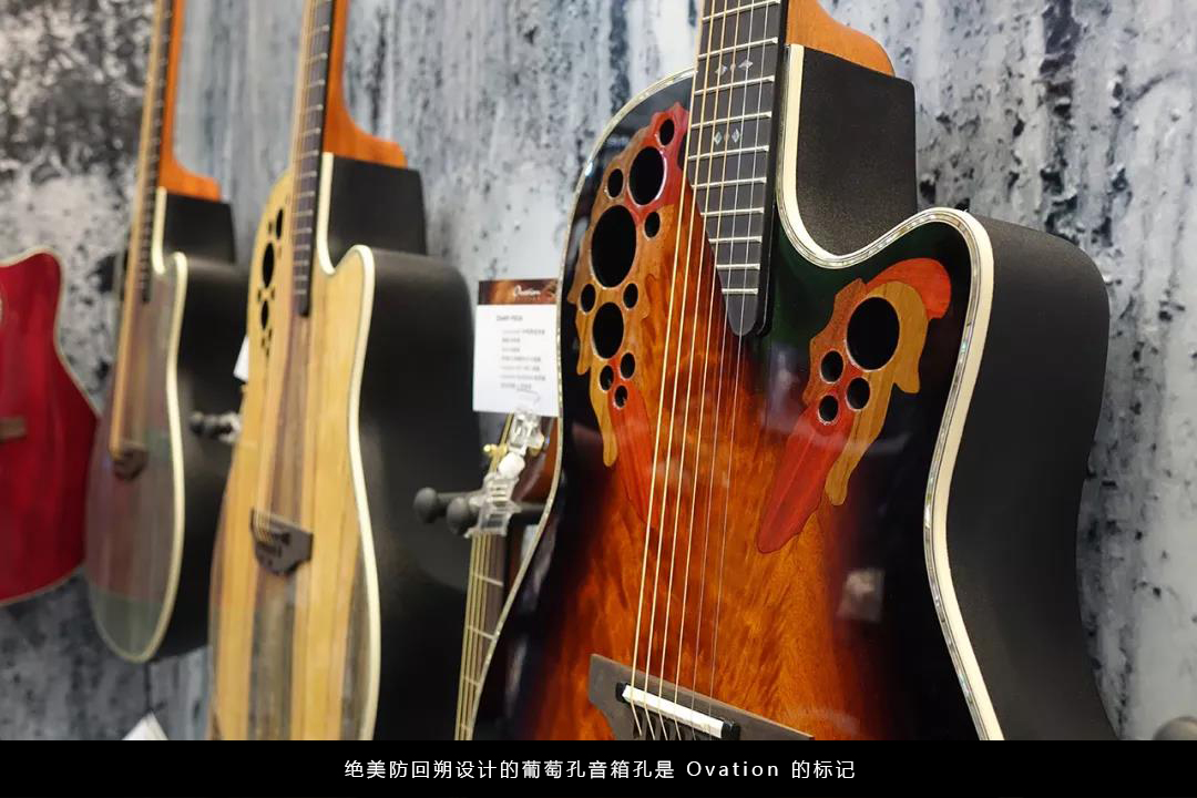 gibraltar gretsch rogers canopus sjc tempo taco cort ovation