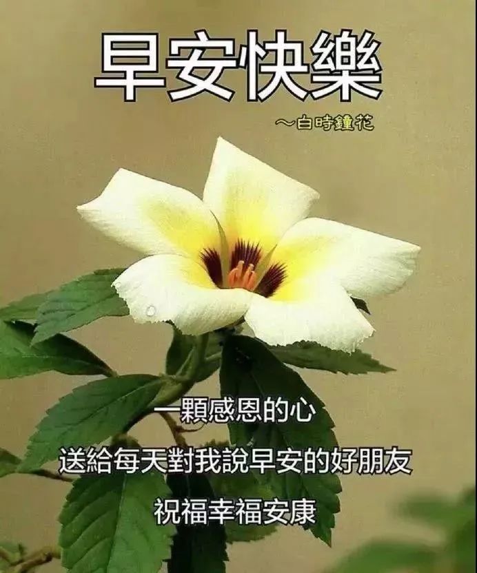 励志早安问候短句图片带字(励志早安问候短句图片带字最新)