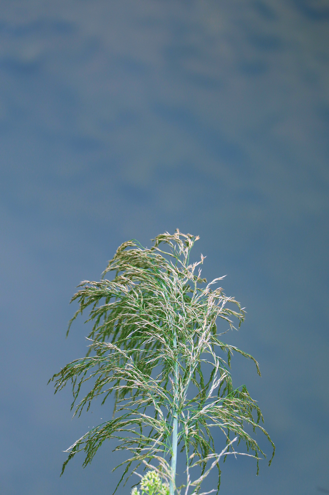 风光摄影  静之美