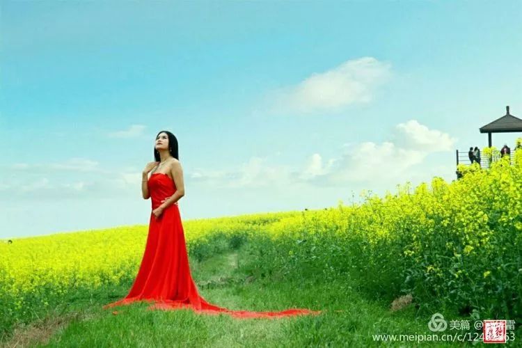 金色花海一一人景合一