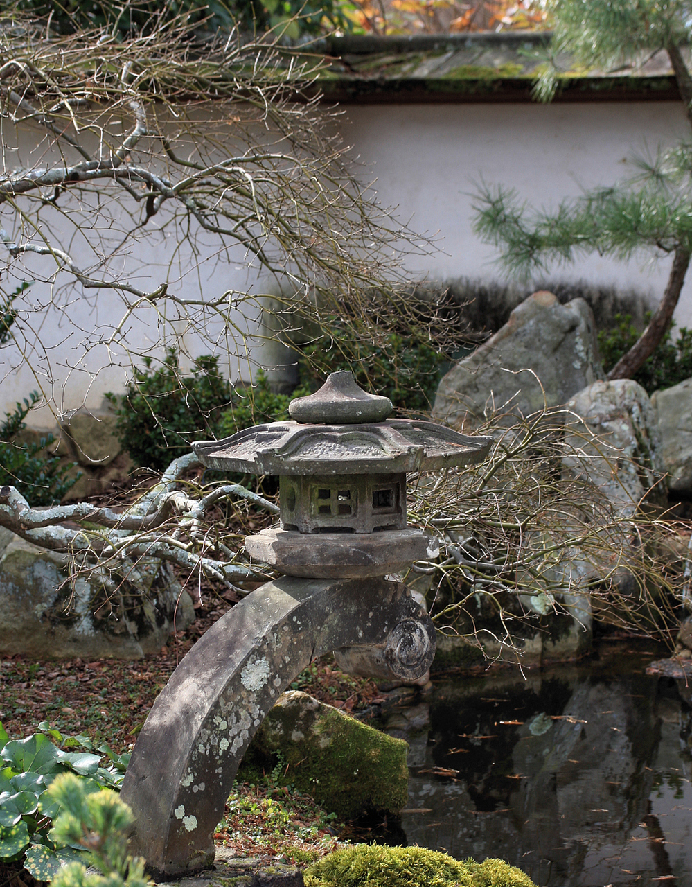 漫步静思园,同里古镇和黎里的水乡间感受如画风景;品味地道美食参与