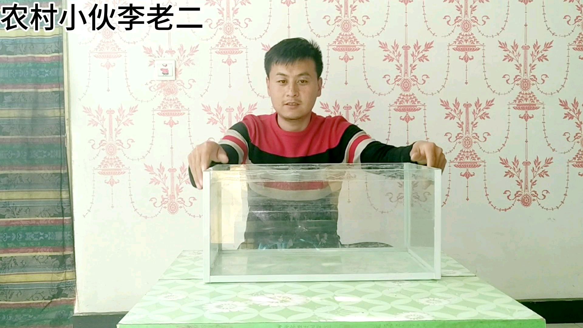 老二自制鱼缸,经过一番努力修复,结果不尽人意