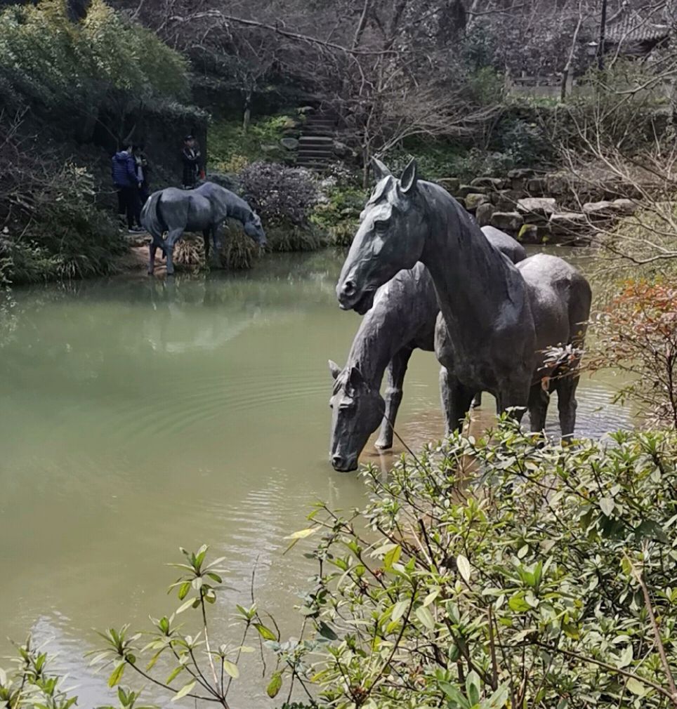 洗马池