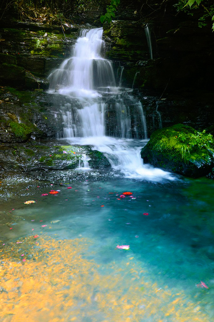 在原始森林里纳凉的一群摄影爱好者,把山溪水拍成了五彩的颜色