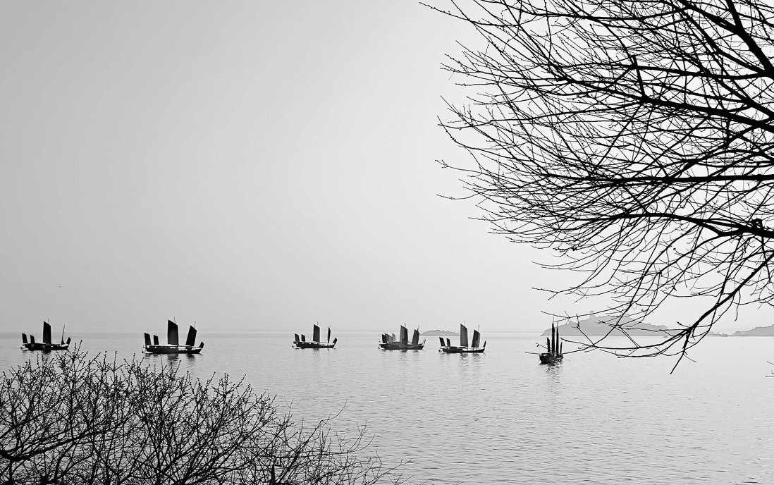 沉舟侧畔千帆过,病树前头万木春,读《酬乐天扬州初逢席上见赠》