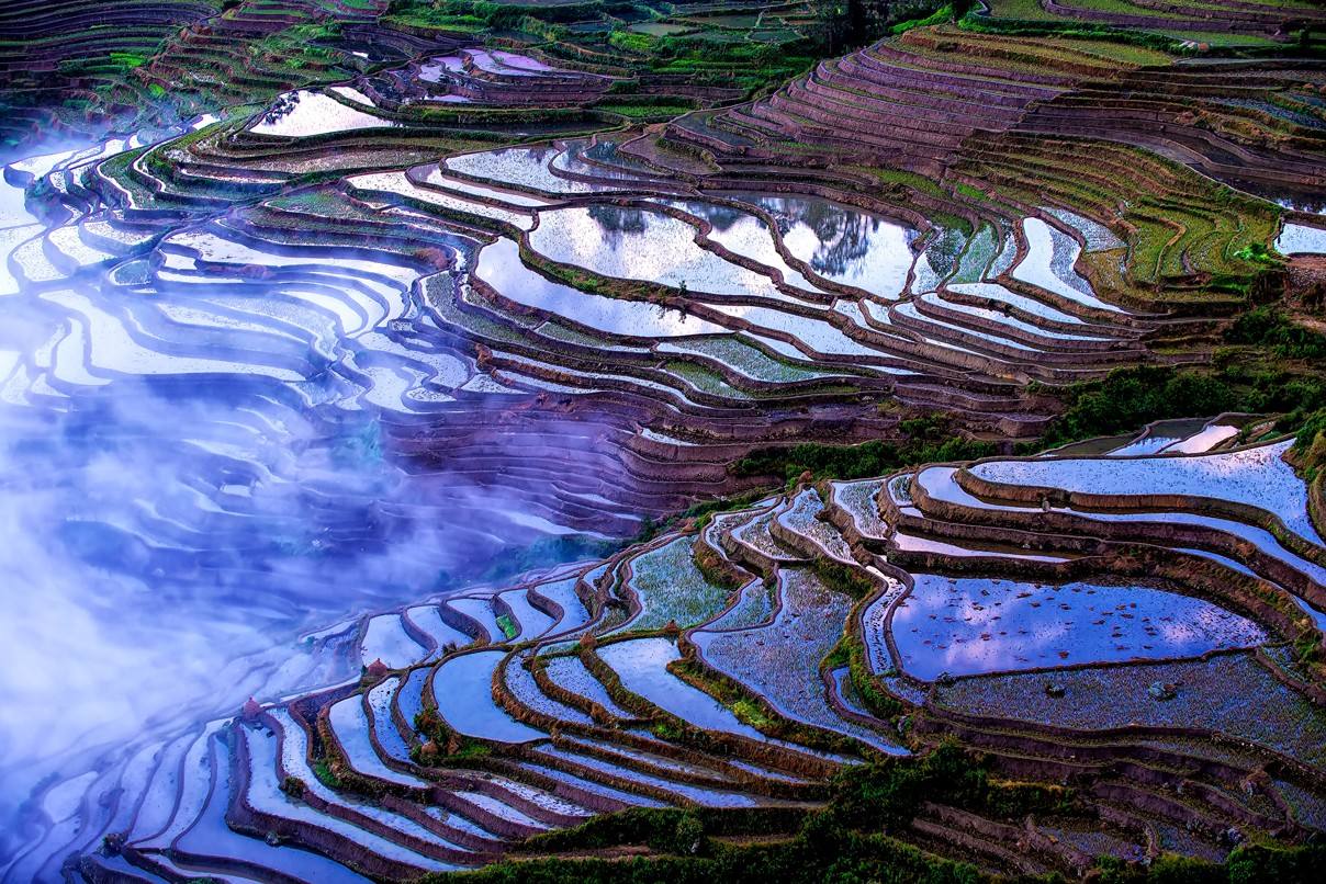 云为衣裳,花为容,层层梯田的古景,看看是不是你的家乡