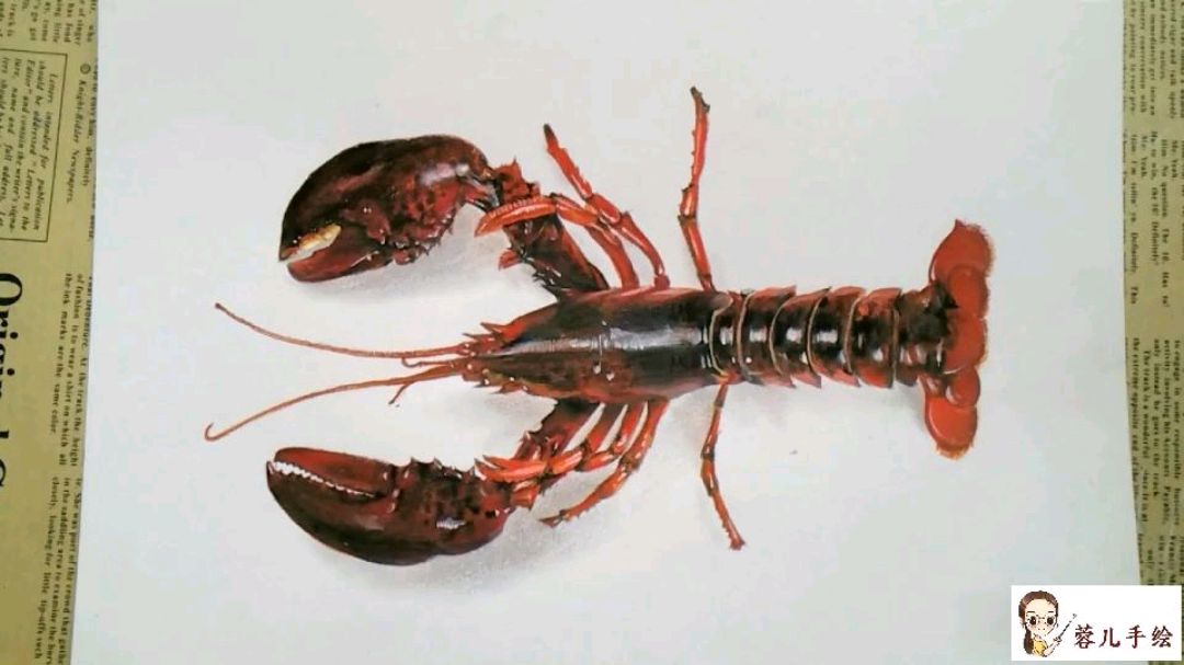 这样的小龙虾你能吃多少斤呢?