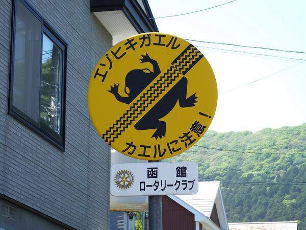 世界上各种搞笑的交通标志