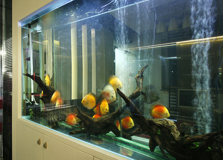 鱼缸- 热门商品专区