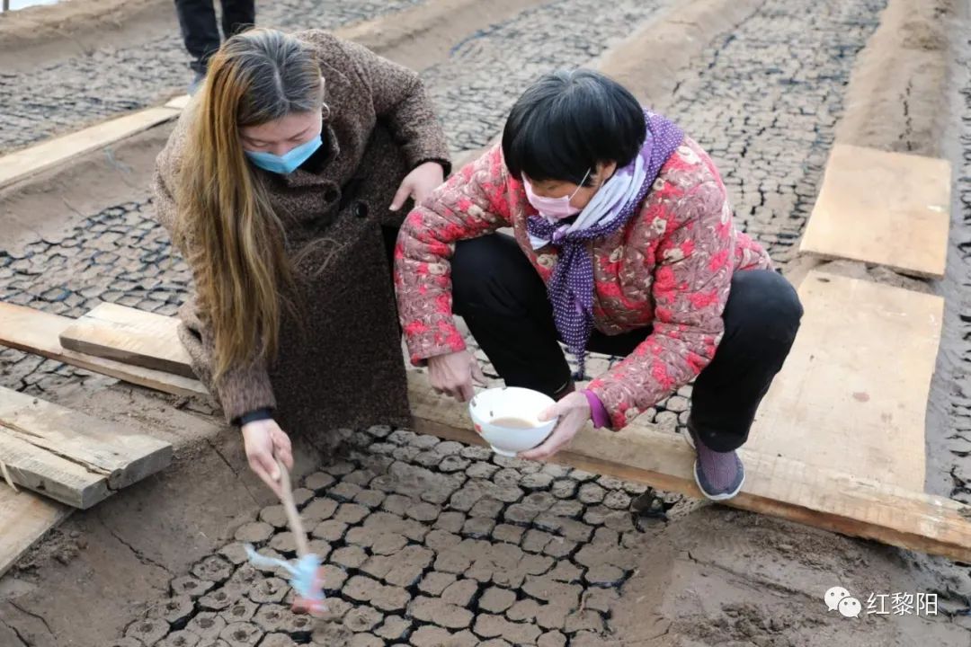 现代版"银环下乡"在这里上演