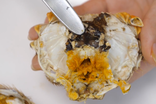 手把手教你大闸蟹的正确吃法,步骤详细,吃法简单,看完涨知识了