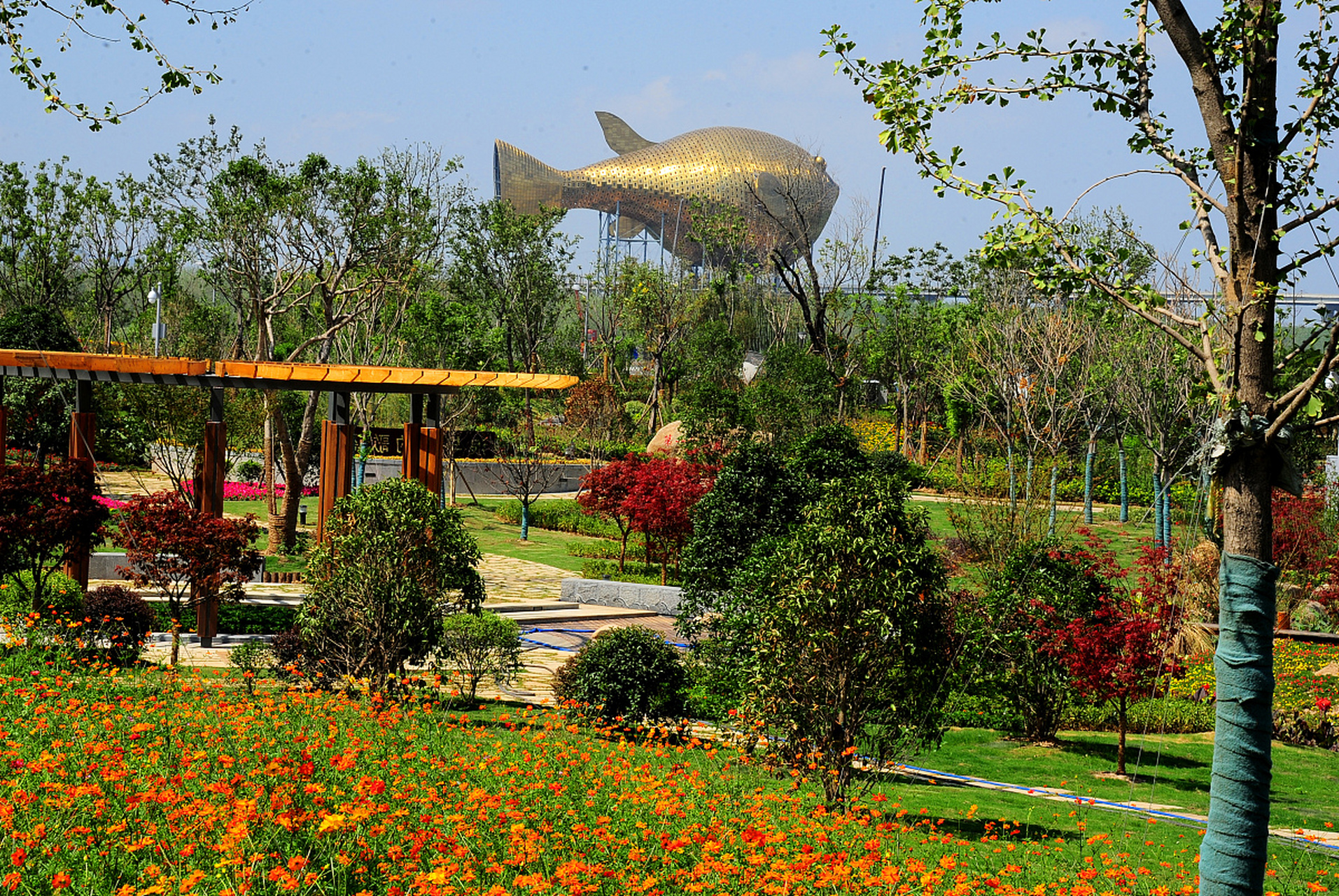 德州有什么好玩的地方景点推荐: 1.