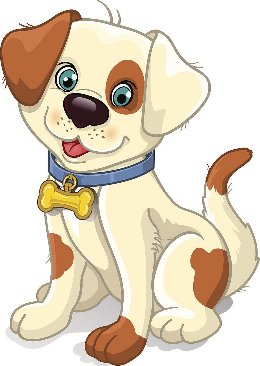 生肖狗的人在团队协作中表现出色,他们深知集体的力量,善于与他人携手