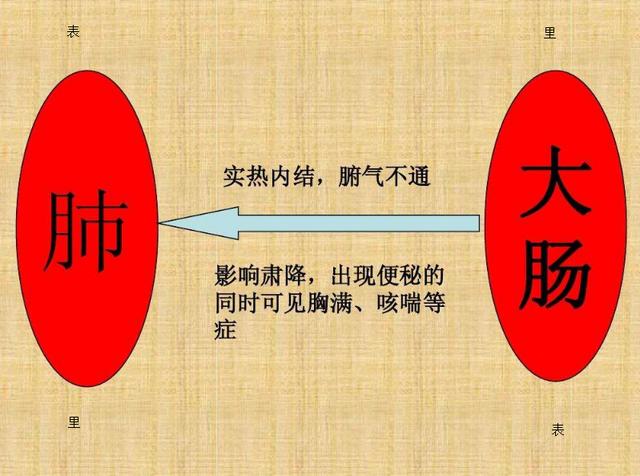 《science》文章部分证实了中医肺与大肠相表里的理论,让人敏感