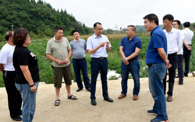 芦忠于调研500亩以上坝区建设