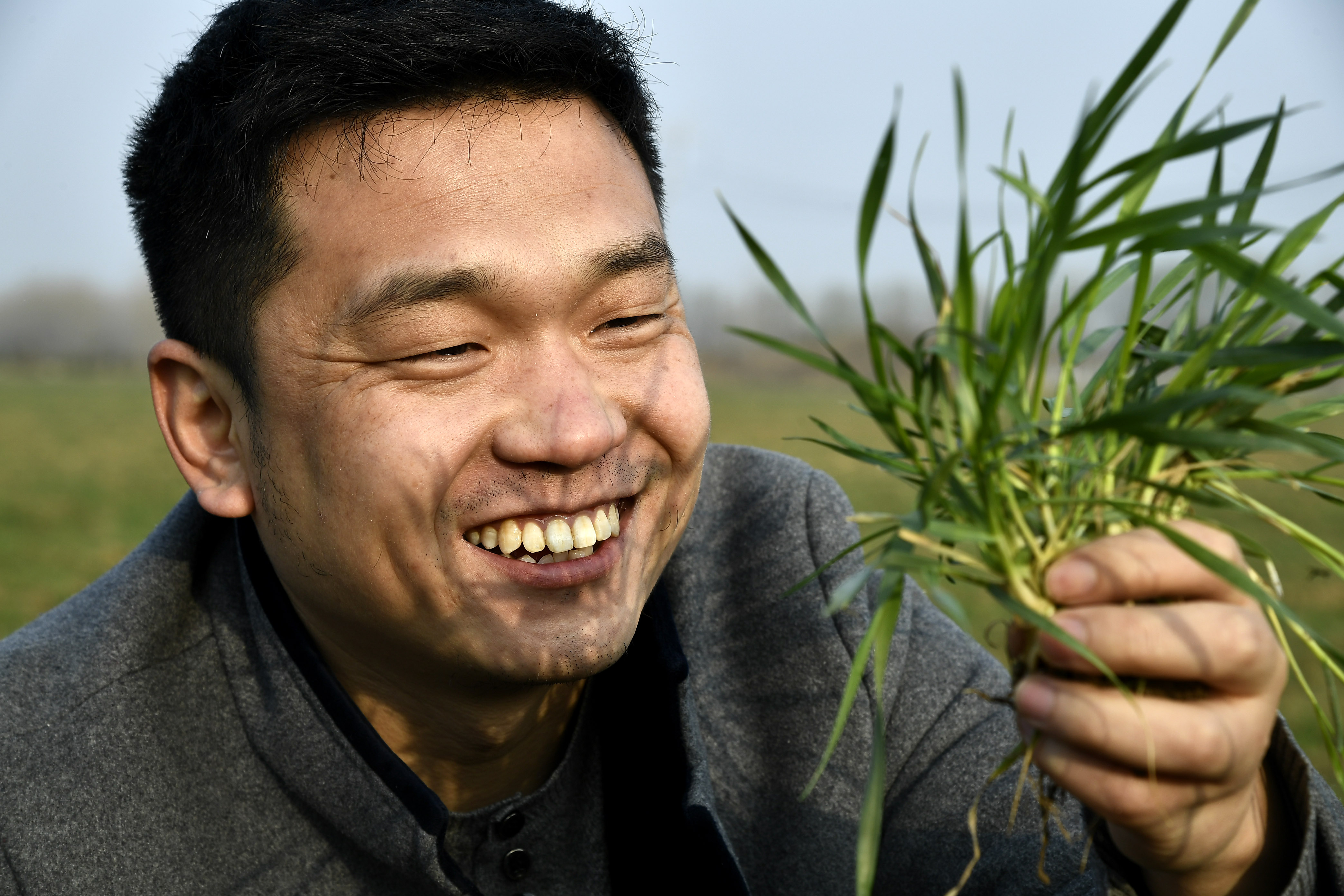 希望田野上的职业农民(6)