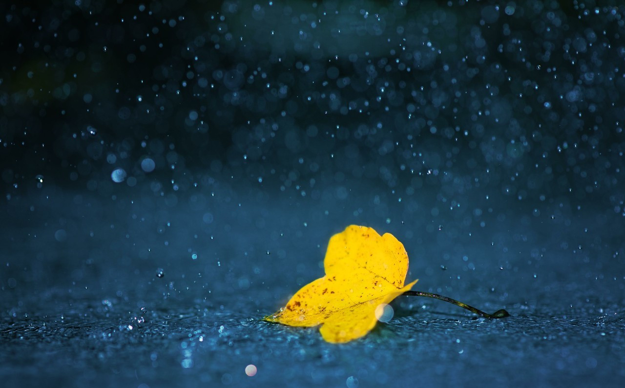 农村俗语:"盐罐发卤,大雨如注"这是什么意思?有什么内涵吗?