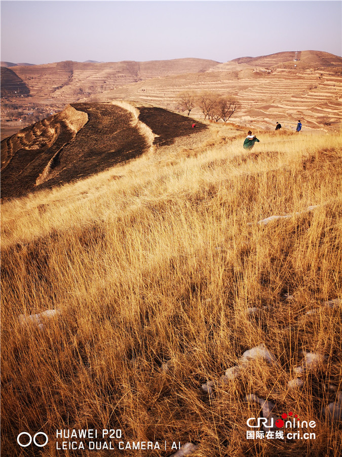 位于会宁县南部的万平村,大年初一清早,村民们在田地低头集合,举行"除