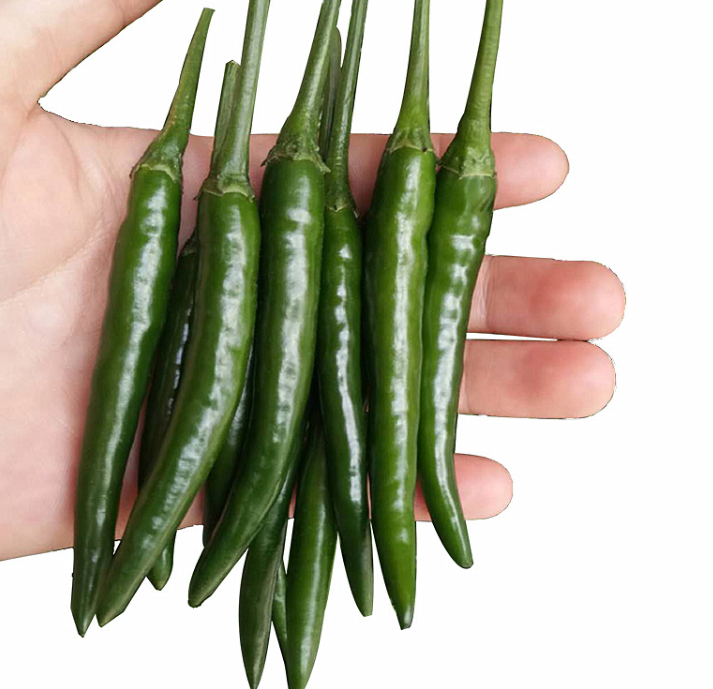 小米辣不仅促进人的食欲,还有美容和防癌的功效,涨知识了