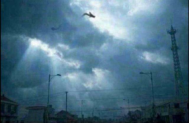 营口坠龙事件,专家:"那是鲸鱼"