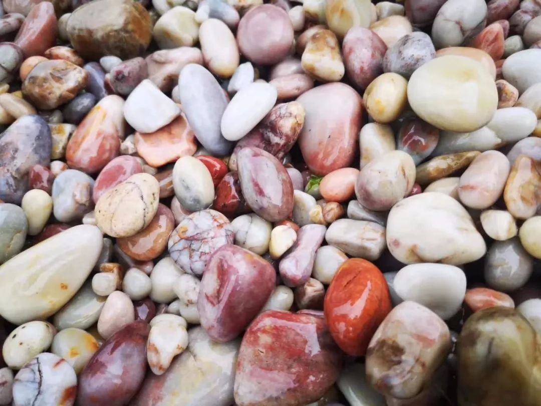 潮说六十三|长岛球石传奇