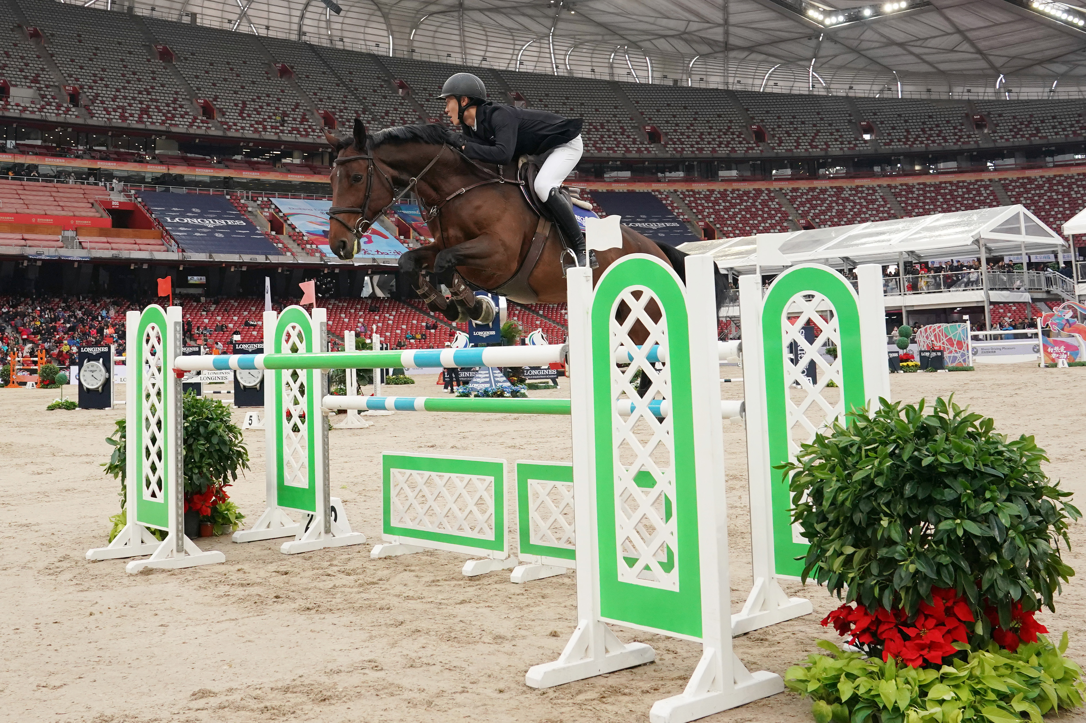 马术——鸟巢观赛马(6)