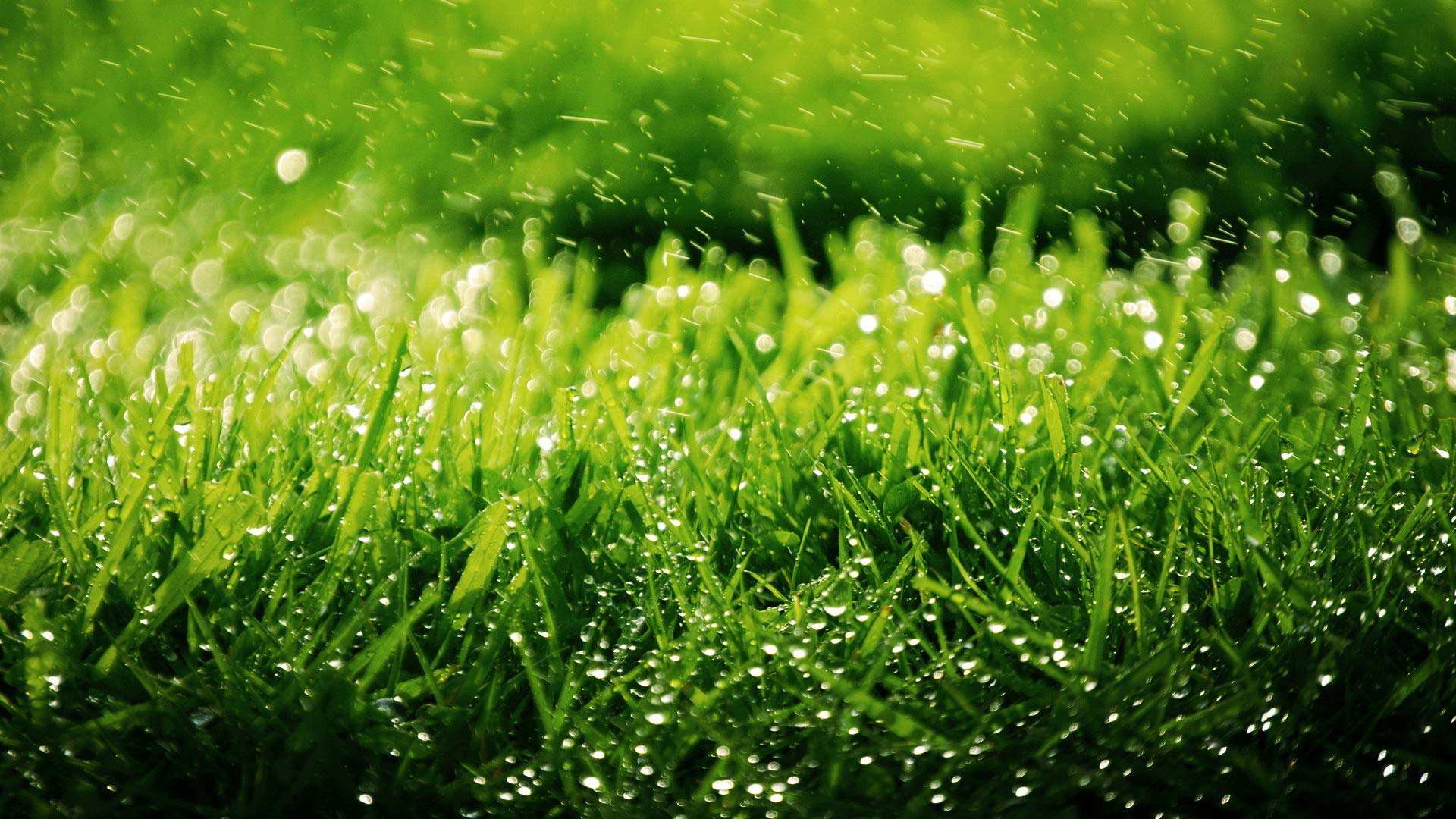 马化腾的成功,有人总结原因说是运气太好