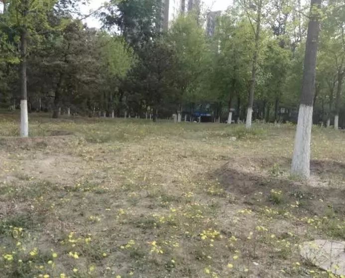 北京昌平蓝天嘉园小区场地小排队不够用 门外空地多期盼开公园