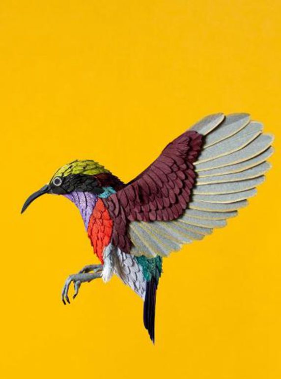 一组活灵活现的纸雕鸟,精致复杂栩栩如生,美得令人窒息