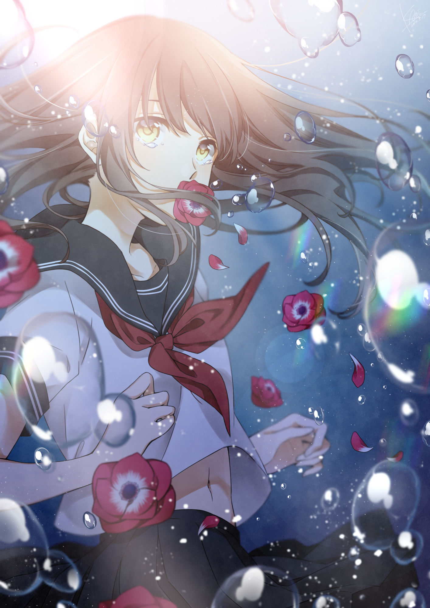 二次元插画:银莲花-无望的爱,一种凄美而寂寞的花