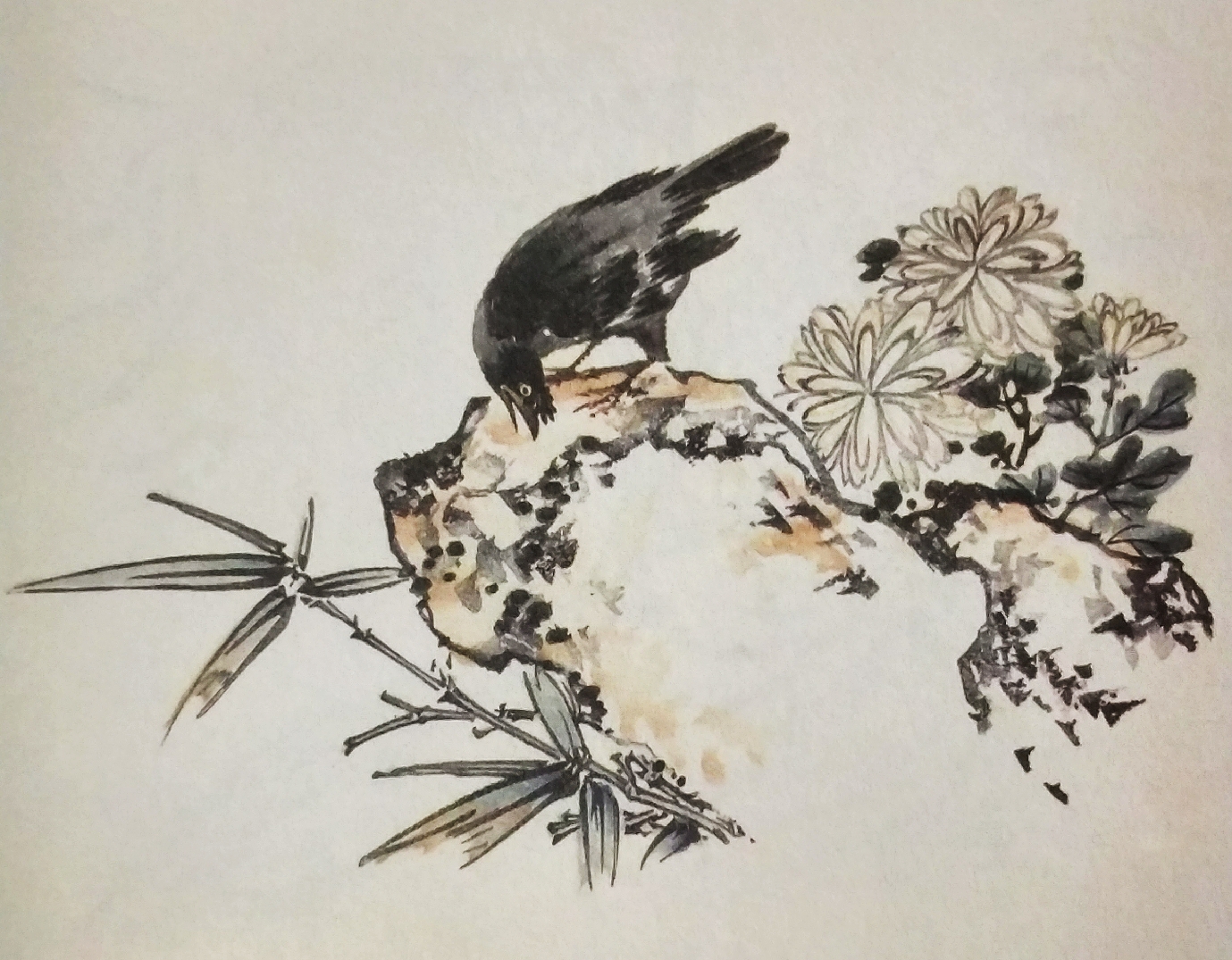 芥子园花鸟画100幅图片